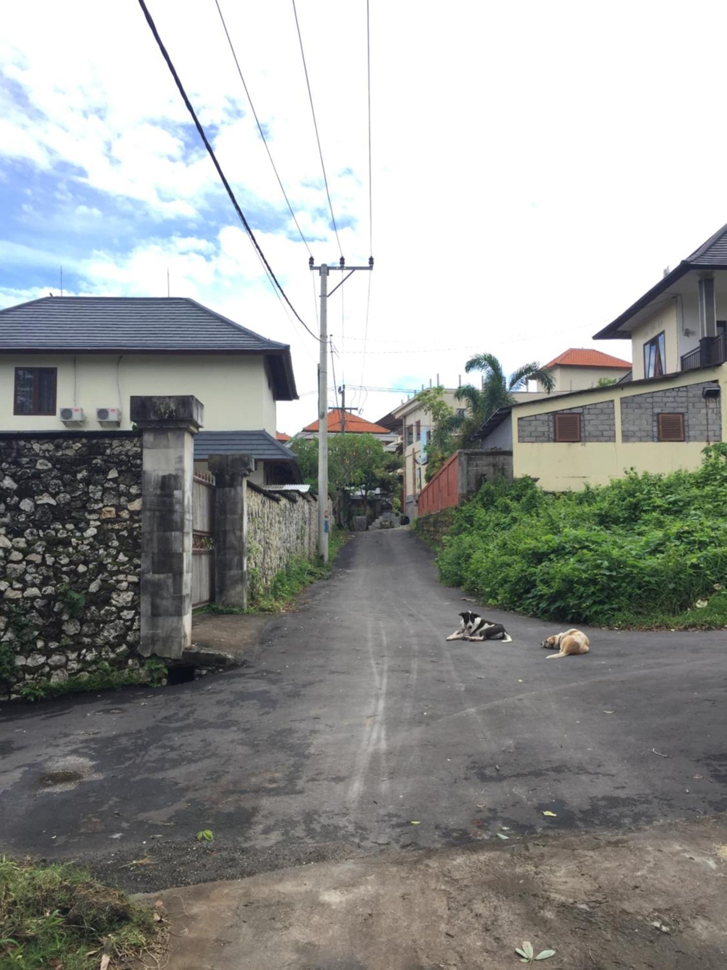 Satria Bungalow Uluwatu Exteriör bild